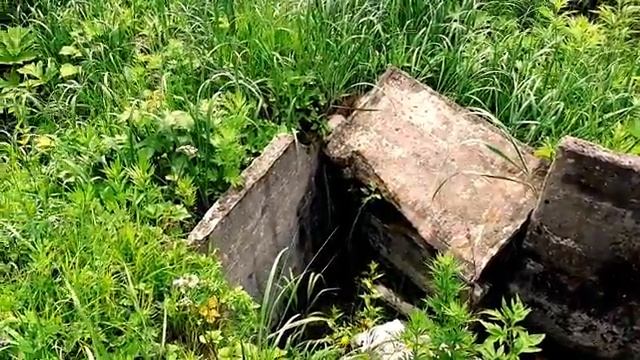 3. Дневник бродяги. 009  Остров Сахалин