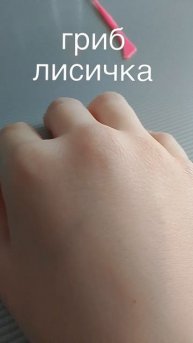 грибок лисичка.7 звёздочек