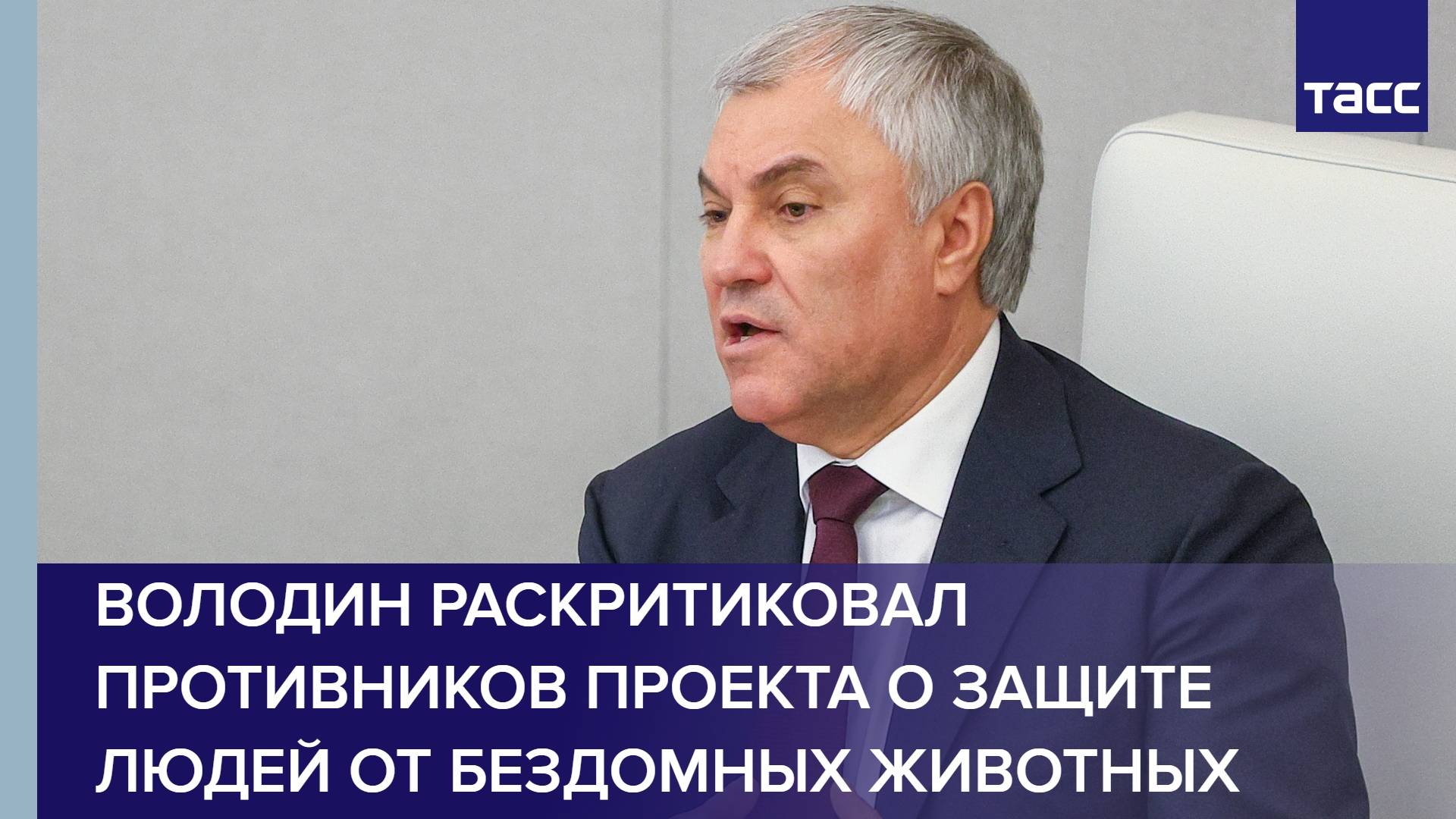 Володин раскритиковал противников проекта о защите людей от бездомных животных