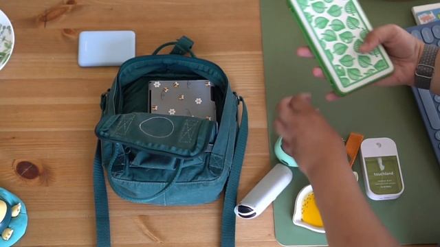 Can the Kanken Sling fit your every day items?