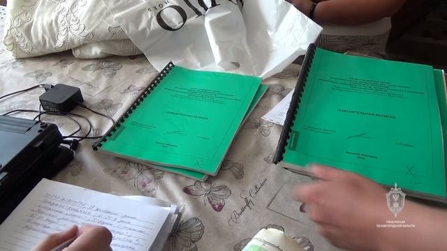 В Новгородской области завершено расследование незаконной рубки лесных насаждений на 220 млн рублей