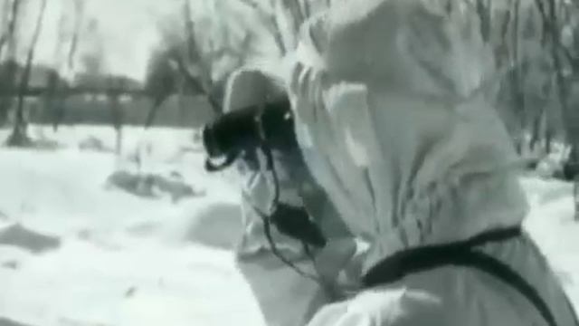Воздушно-десантные войска в ходе Ржевско-Вяземской наступательной операции. 1942 г.