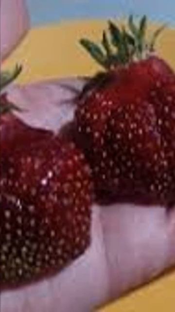 Клубника Кама  Сибирское здоровье