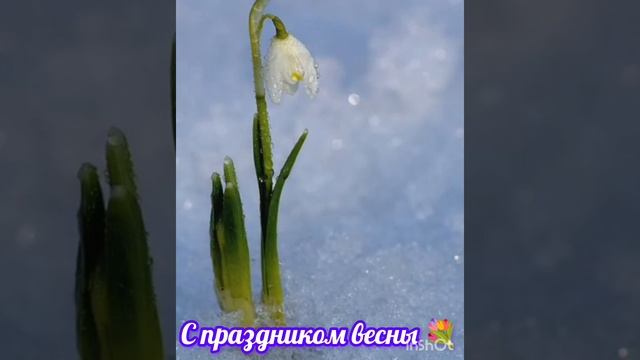 Всем, хорошего настроения .mp4