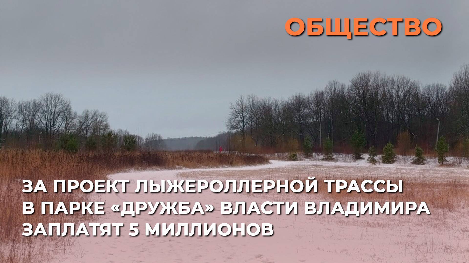 За проект лыжероллерной трассы в парке «Дружба» власти Владимира заплатят пять миллионов