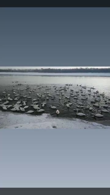 Берег надежды г.Бийск
