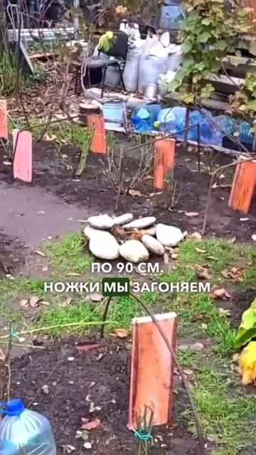 Первый этап укрытия для роз - каркас