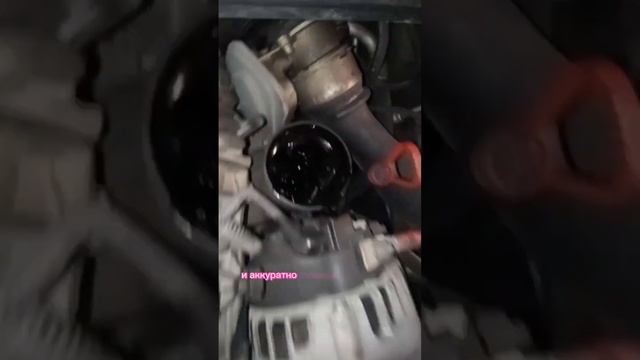 Смотри Витёк - Замена масла на bmw #bmw #заменамасла  #смотривитек