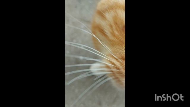 1000070637.mp4