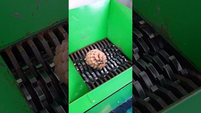 #наука #микромир #подмикроскопом #микроскоп #интересно