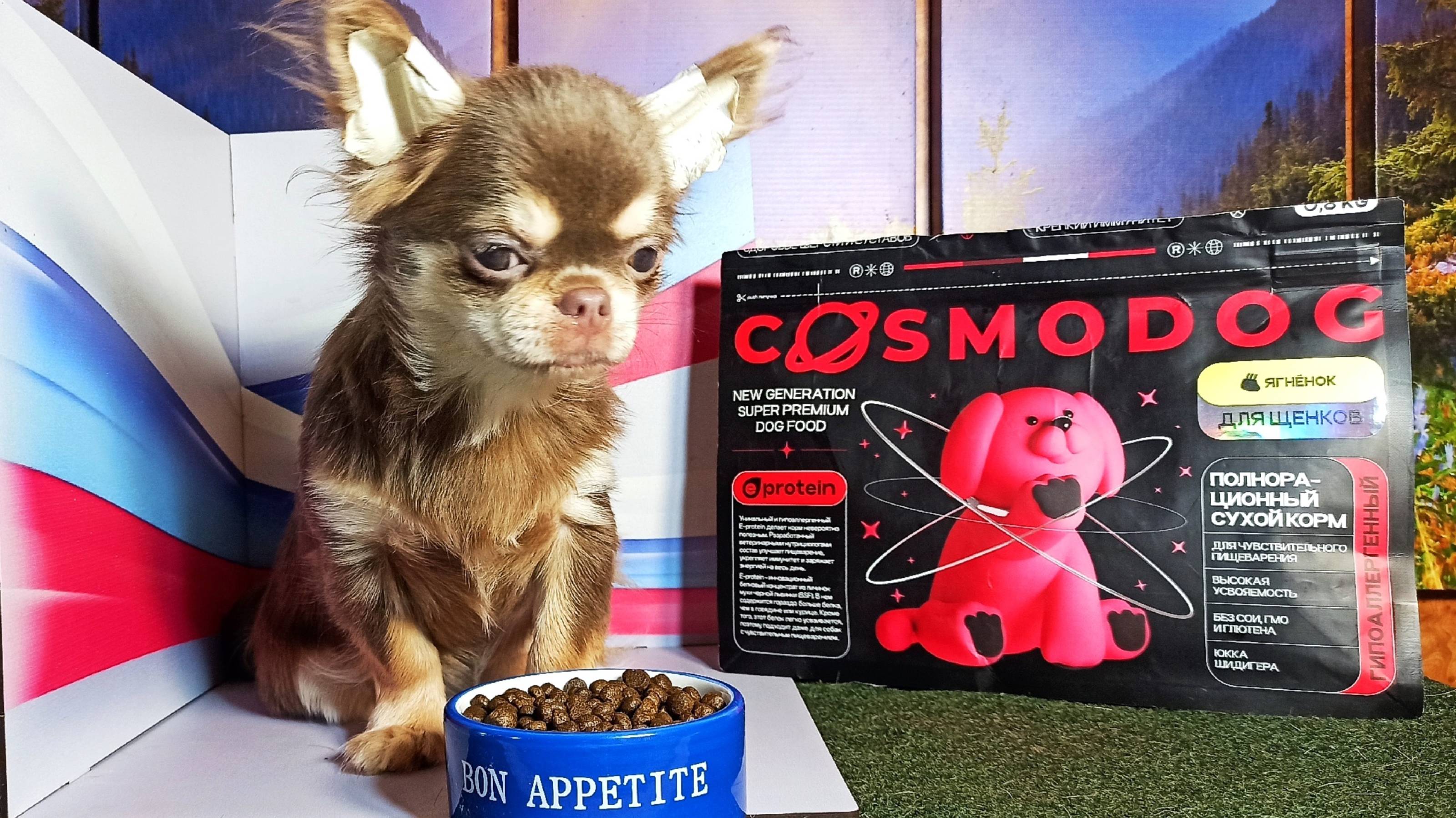 Космические технологии для наших питомцев #cosmodog ПОНРАВИЛСЯ ВСЕМ #щенки_чихуахуа_купить_продам