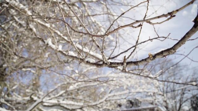 Человеку нет предела