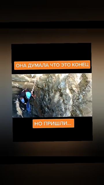 спасение животных
