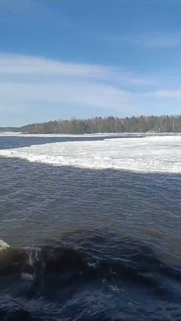 VID-20250304-WA0000