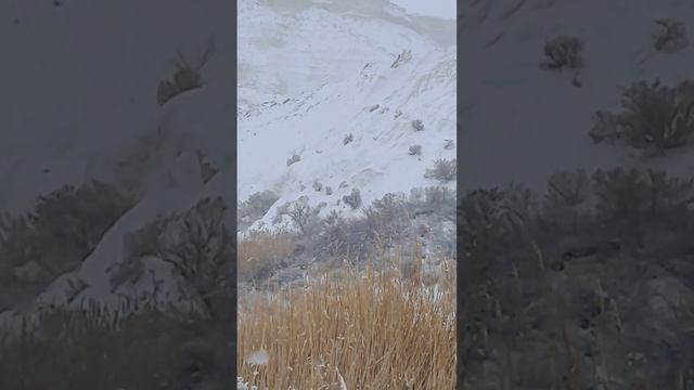 lv_0_20250302123405