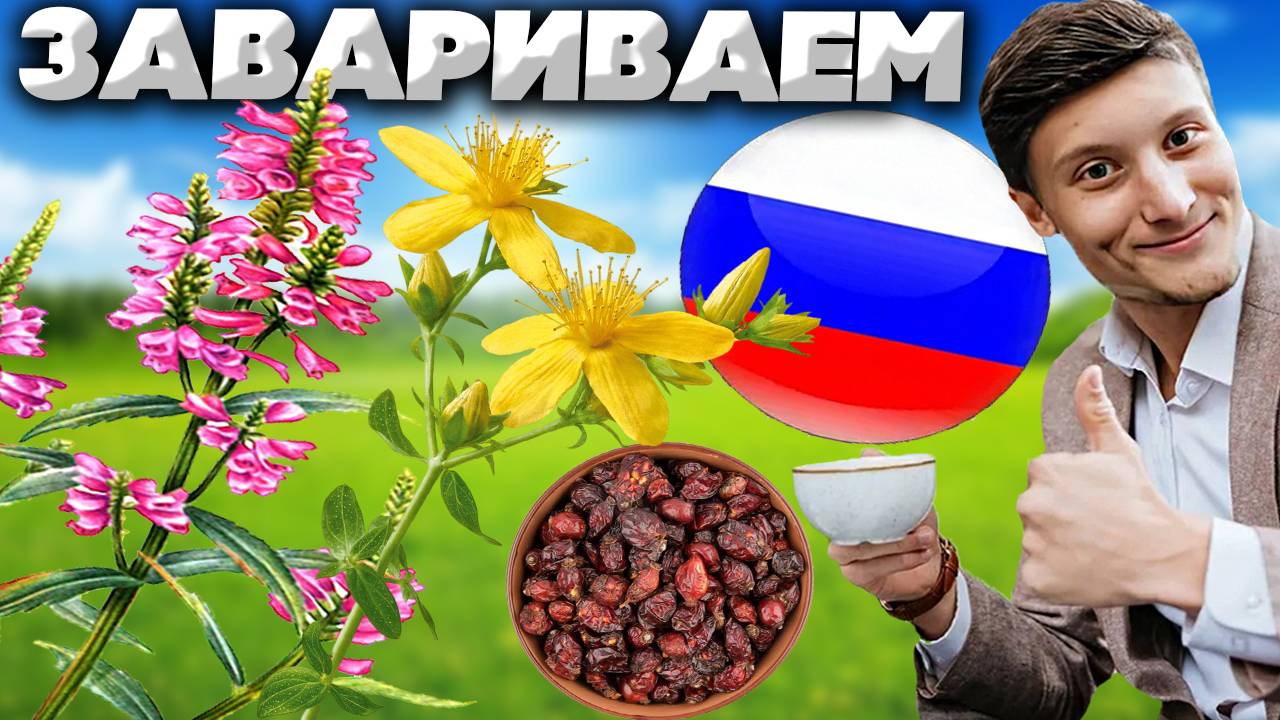 ТРАВЯНОЙ СБОР ИЗ ИВАН ЧАЯ,ЗВЕРОБОЯ И СУШЁНОГО ШИПОВНИКА | РУССКИЙ НАПИТОК ДЛЯ ЗДОРОВЬЯ | ЗАВАРИВАЕМ