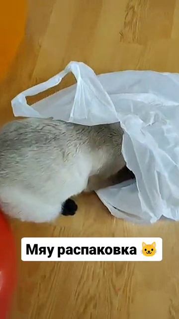 мяу распаковка