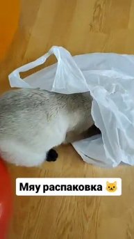 мяу распаковка