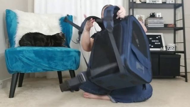 Best Pet Backpack Carrier - Cat Tested