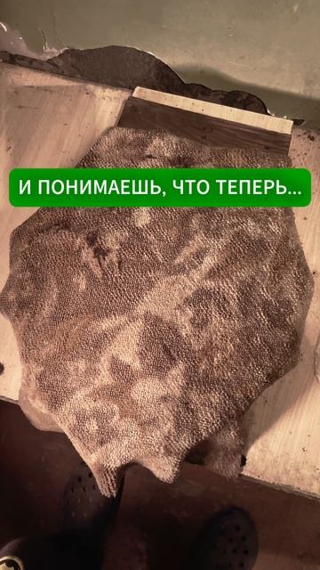Пахнет через экран