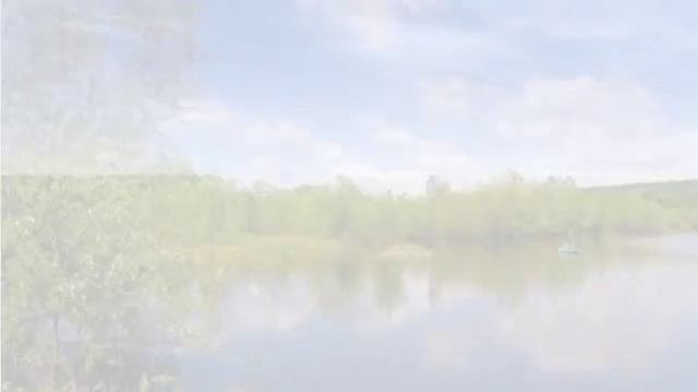 Лес да река