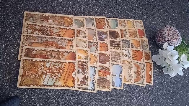 VID_20250304_154058.mp4