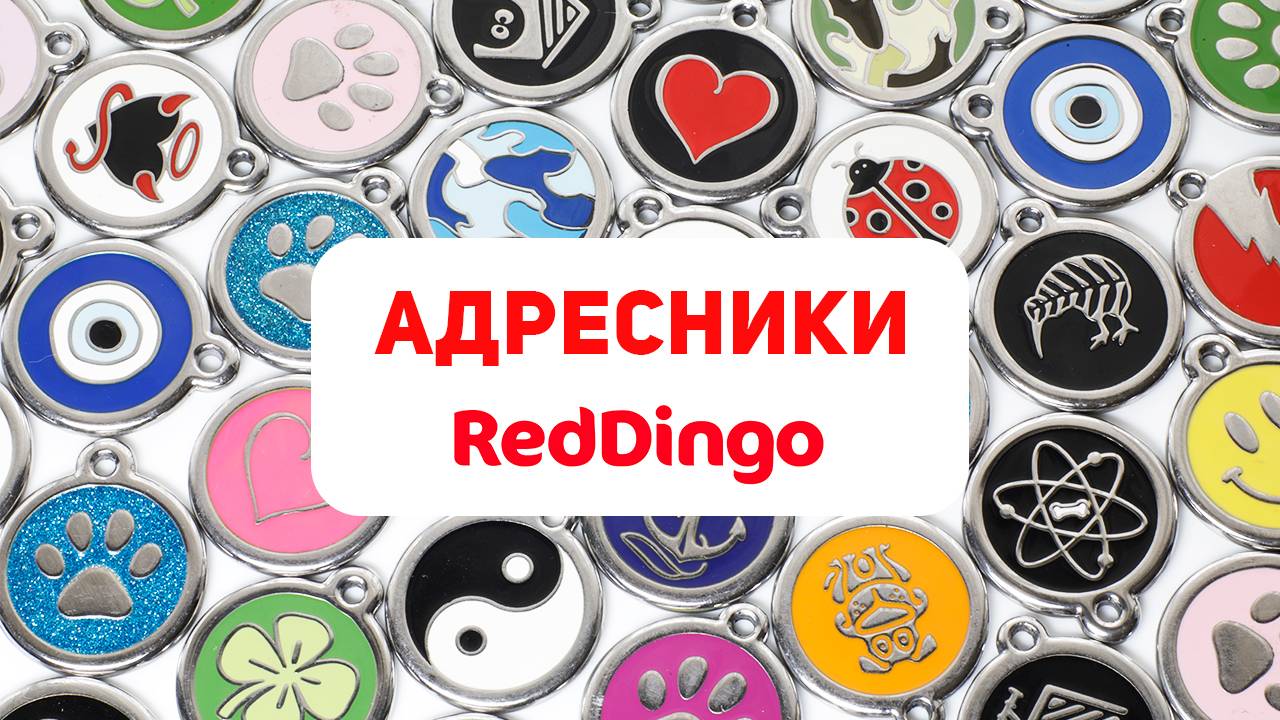 Лучший адресник для собаки?