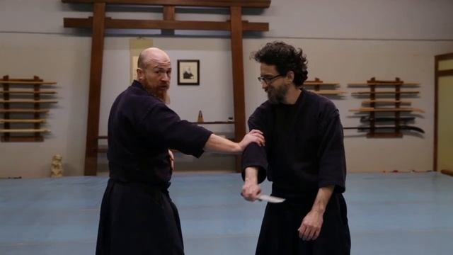 Aikido grabs, what they are for.