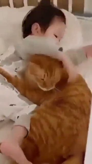 Лучший друг в моей постели