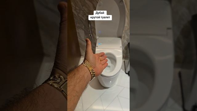 Дубай крутой туалет