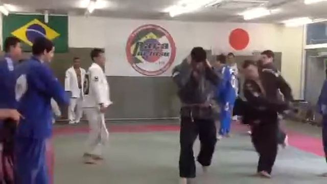 Raça Jiu jitsu Graduacao