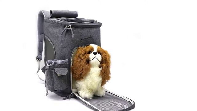 Top 5 Best Pet Carrier Backpacks In 2024