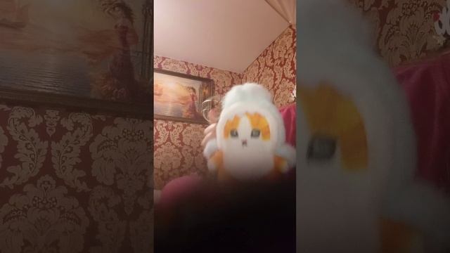 Алиса кошка мяу