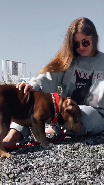 У нас можно купить худи и футболки с готовым принтом или с фото ваших питомцев 🤍🐾