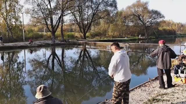 Тестирование мягкой ,яркой  резины от компании CRAZY TROUT в рыбаловном  клубе Рыбалка на Столбовой.