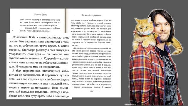 Про кота Боба