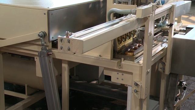 Автомат для производства пончиков с начинкой. 89374449733