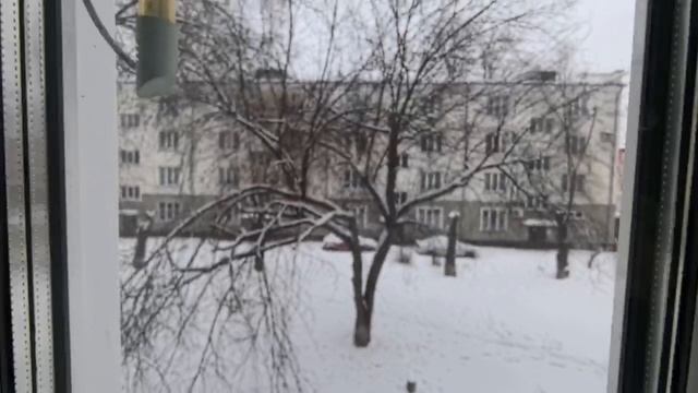 Кирова 15