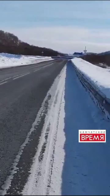 На юге Камчатки в кадр попал редкий хищник