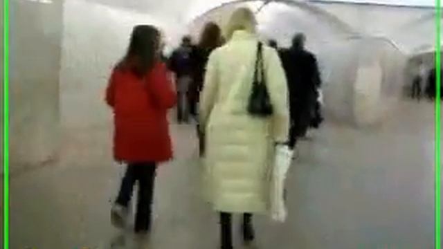 Белое с зелённым оттенком