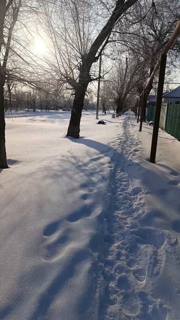 #самоучкахудожник#снег#мороз#зима поскрипушки снега ⛄ в минус ➖ 22