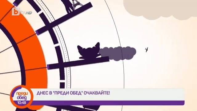 Преди обед: "Да, шеф!": Руло с тиквички, спанак и шунка