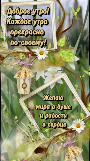 Желаю доброго прекрасного утра!