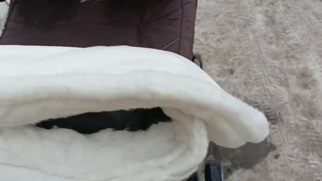 прогулка с реборном Лаурой/распаковка посылок