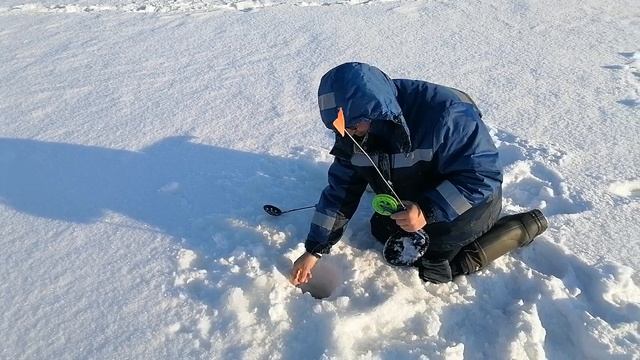 Щука на жерлицу. Очередная щучка на жерлицу. Зимняя рыбалка 2025