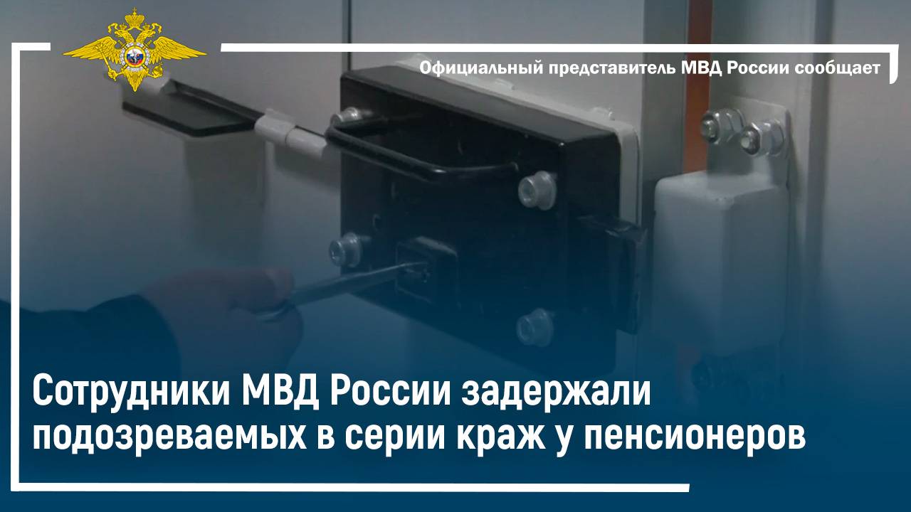 Сотрудники МВД России задержали подозреваемых в серии краж у пенсионеров