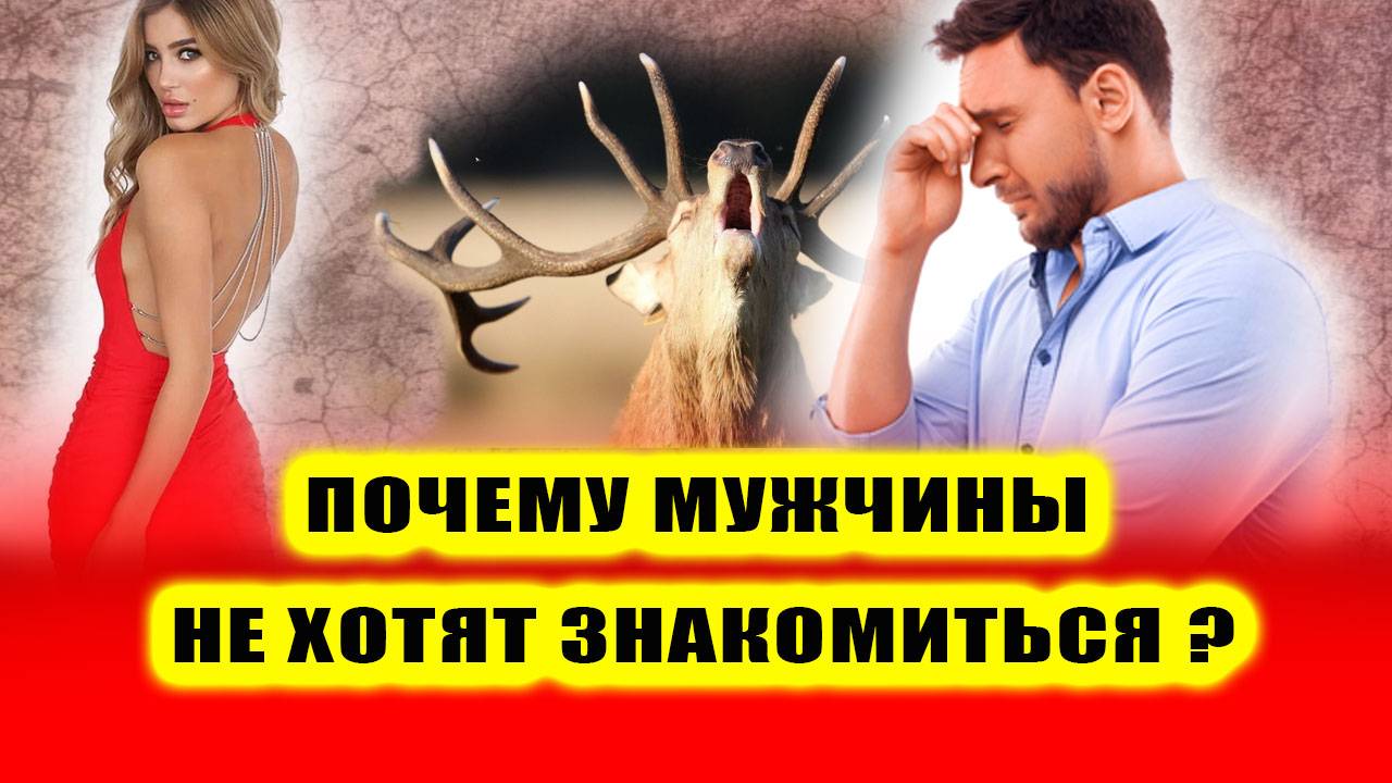 Почему МУЖЧИНЫ МАССОВО ОТКАЗЫВАЮТСЯ от ОТНОШЕНИЙ с женщинами? Почему не хотят знакомиться?