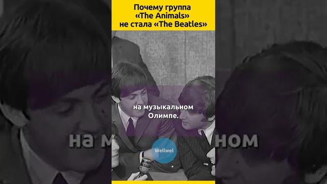 В тени Битлов