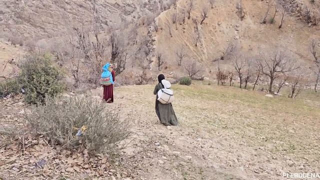 Efforts for agricultural prosperity: will they succeed in multiplying the crop?: village lifestyle