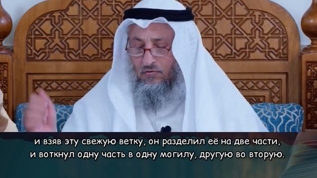 Сажать дерево на могиле сунна